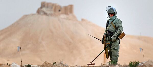 Expert du centre international de déminage à Palmyre - Sputnik Afrique
