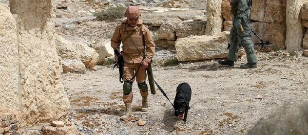 Les sapeurs russes retrouvent un immense arsenal de Daech dissimulé à Palmyre Les sapeurs russes retrouvent un immense arsenal de Daech dissimulé à Palmyre - Sputnik Afrique