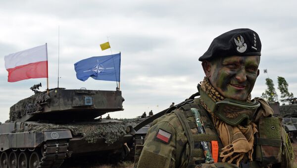 Le commandant de char polonais sourit après un exercice de l'OTAN Response Force  (NRF) à Zagan, sud-ouest de la Pologne le 18 Juin 2015 - Sputnik Afrique