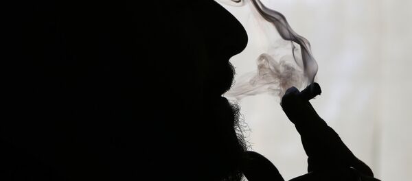 Cannabis - Sputnik Afrique