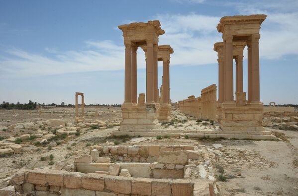 Que reste-t-il de la Palmyre antique? - Sputnik Afrique