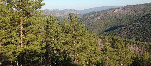 Sibérie - Sputnik Afrique