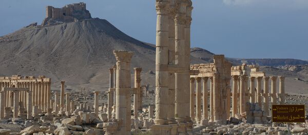 Palmyre Palmyre - Sputnik Afrique
