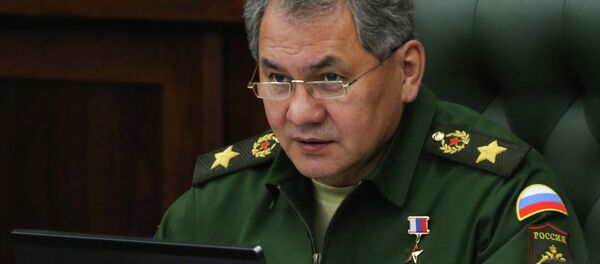 Sergueï Choïgou - Sputnik Afrique