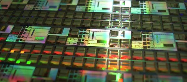 Une puce Une puce - Sputnik Afrique