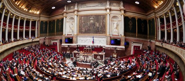 L'Assemblée nationale L'Assemblée nationale - Sputnik Afrique