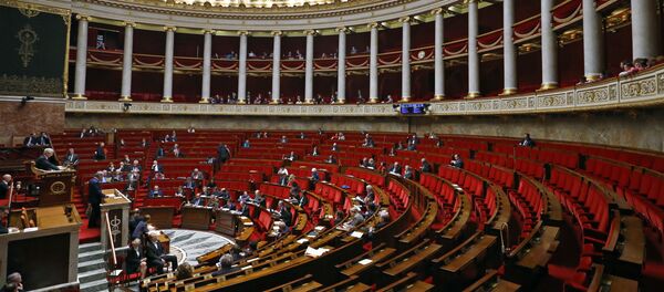 L'Assemblée nationale L'Assemblée nationale - Sputnik Afrique