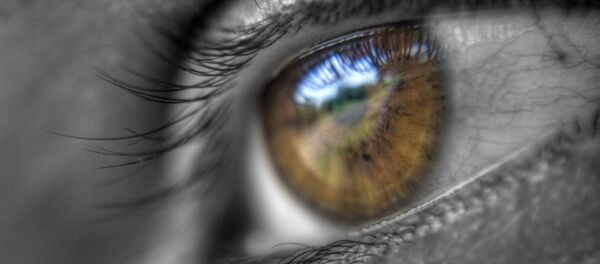 Œil - Sputnik Afrique