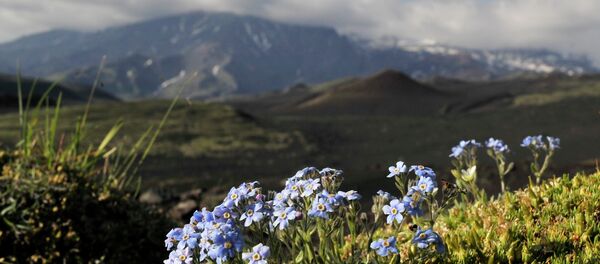 Kamtchatka - Sputnik Afrique