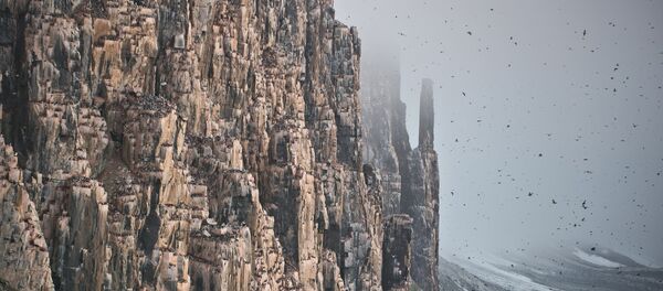 Spitzberg - Sputnik Afrique