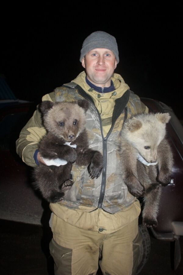 Un Russe qui sauve des ours Un Russe qui sauve des ours - Sputnik Afrique