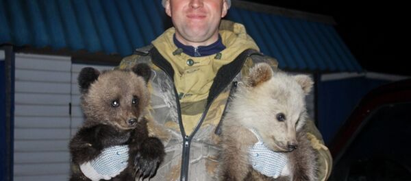 Un Russe qui sauve des ours - Sputnik Afrique