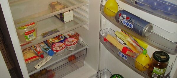 Le réfrigérateur - Sputnik Afrique