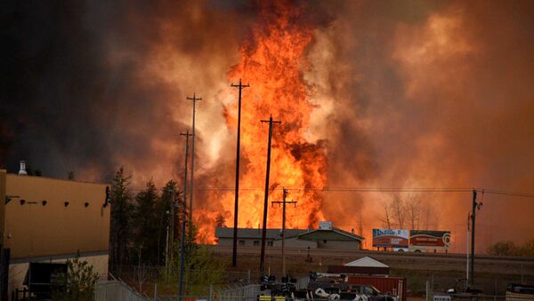 Incendies au Canada: les habitants de Fort McMurray bientôt remplacés par des ours? - Sputnik Afrique