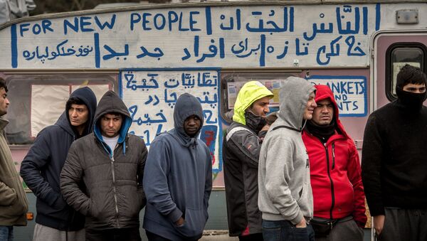 Emploi ou esclavage: le job pour migrant à 80 centimes fait débat en Allemagne? - Sputnik Afrique