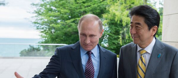 Встреча президента РФ В. Путина с премьер-министром Японии Синдзо Абэ - Sputnik Afrique