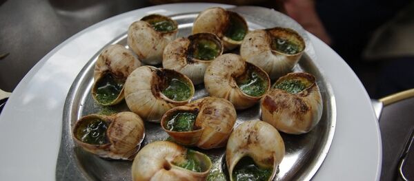 Escargots - Sputnik Afrique