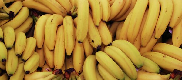 Bananes - Sputnik Afrique
