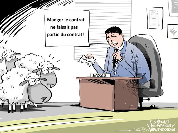 Au Japon, on embauche des moutons! Au Japon, on embauche des moutons! - Sputnik Afrique