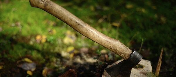 Une hache - Sputnik Afrique