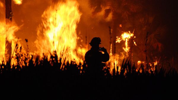 Face aux incendies, le Portugal fustige l'UE et avance la thèse terroriste - Sputnik Afrique