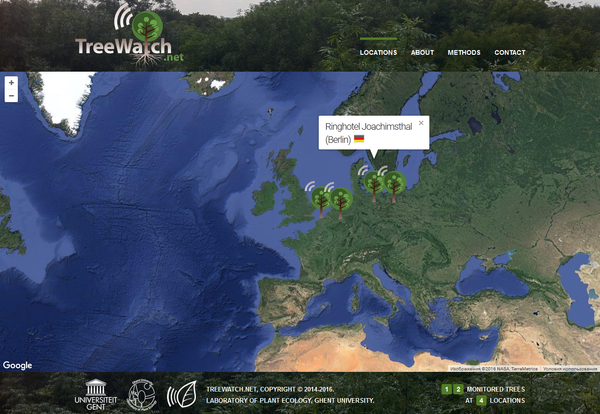 TreeWatch - Sputnik Afrique