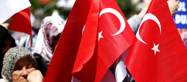 Les drapeaux de la Turquie - Sputnik Afrique