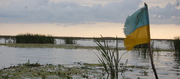Le drapeau de l'Ukraine - Sputnik Afrique