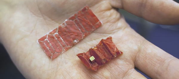 Ce robot-origami qui retire de l'estomac les objets avalés - Sputnik Afrique