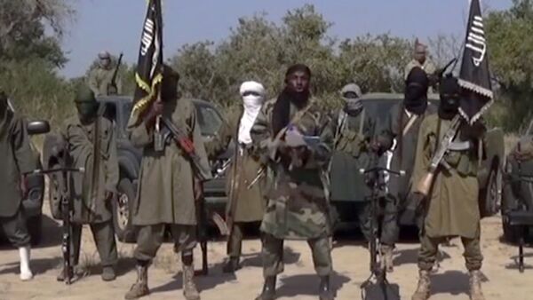 Militants de Boko Haram - Sputnik Afrique