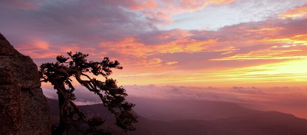 Crimée - Sputnik Afrique
