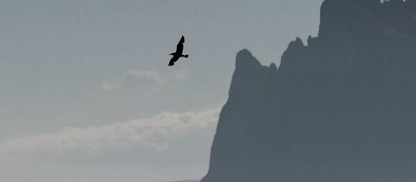 Crimée Crimée - Sputnik Afrique