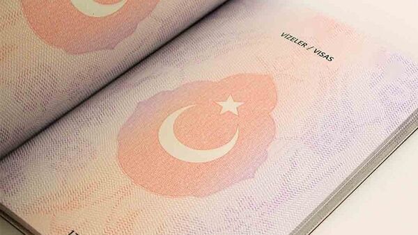 Turkish biometric passport - Sputnik Afrique