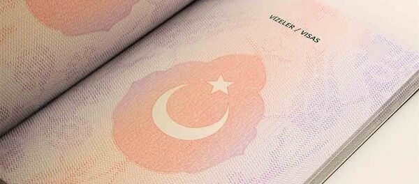 Turkish biometric passport - Sputnik Afrique