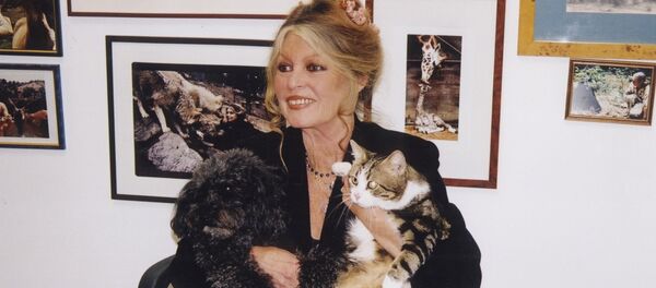 Brigitte Bardot - Sputnik Afrique