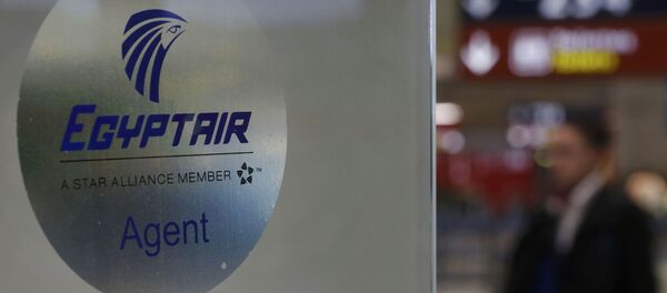 Szyld lini lotniczej Egyptair na lotnisku w Paryżu - Sputnik Afrique