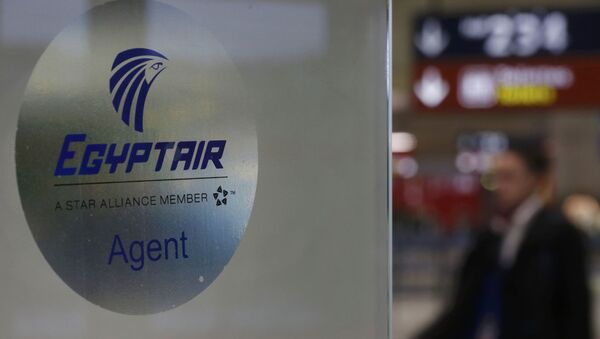 Szyld lini lotniczej Egyptair na lotnisku w Paryżu - Sputnik Afrique