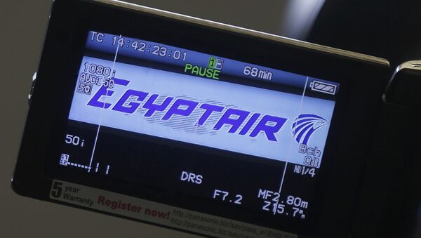 Le  logo de la compagnie EgyptAir à l'aéroport Roissy-Charles de Gaulle - Sputnik Afrique