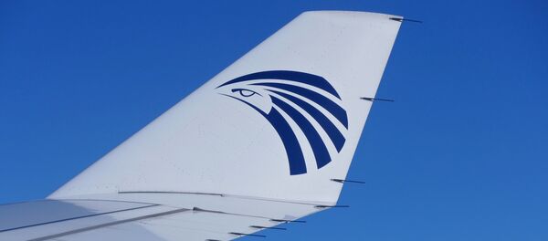 Vol EgyptAir - Sputnik Afrique