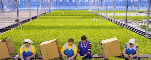 Agriculture - Sputnik Afrique