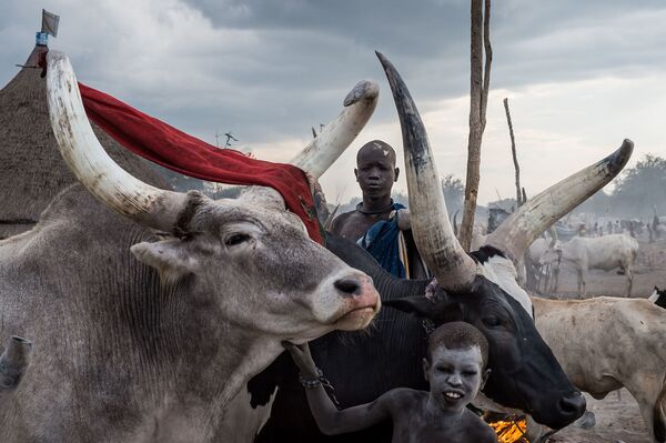 Concours photo Stenine : la présélection des participants - Sputnik Afrique