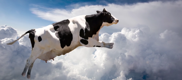 Les neuf choses les plus incroyables jamais tombées du ciel - Sputnik Afrique