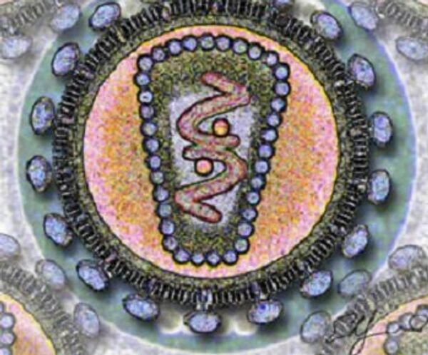 Schéma du VIH - Sputnik Afrique