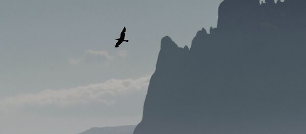 Crimée - Sputnik Afrique