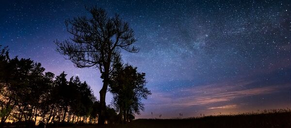 Les arbres s’endorment la nuit - Sputnik Afrique