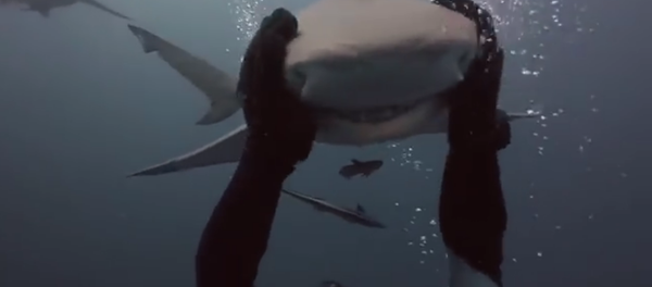 Mon ami le requin - Sputnik Afrique