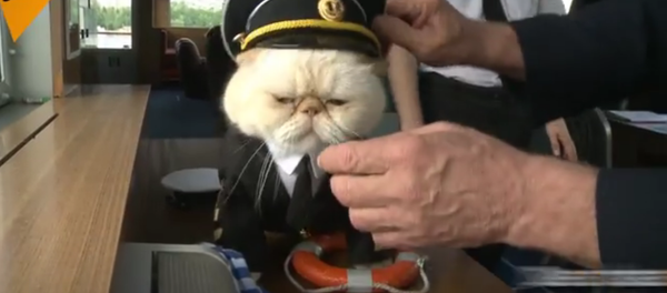 Des chats à bord! - Sputnik Afrique