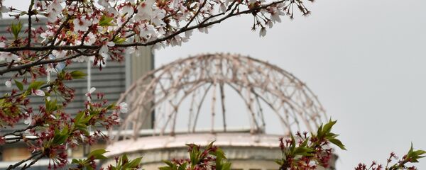 The Atomic Bomb Dome is seen under cherry blossoms in full bloom at the Peace Memorial Park in Hiroshima on April 9, 2016. The Atomic Bomb Dome is seen under cherry blossoms in full bloom at the Peace Memorial Park in Hiroshima on April 9, 2016. - Sputnik Afrique