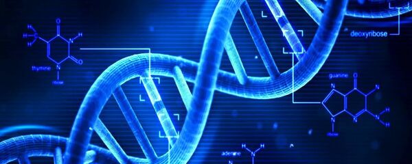 ADN - Sputnik Afrique