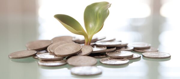 Money Plant - Sputnik Afrique